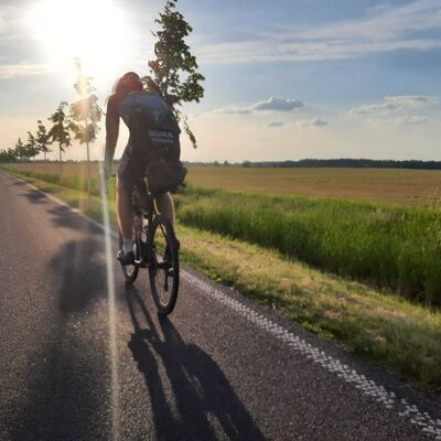 Ein Radfahrer f&auml;hrt auf einer Stra&szlig;e an einem Feld vorbei.