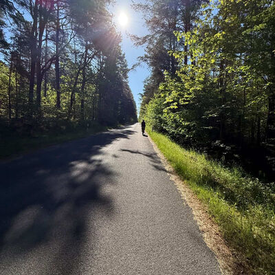 Ein Radfahrer f&auml;hrt auf einem Fahrradweg, an dem zu beiden Seiten B&auml;ume stehen.