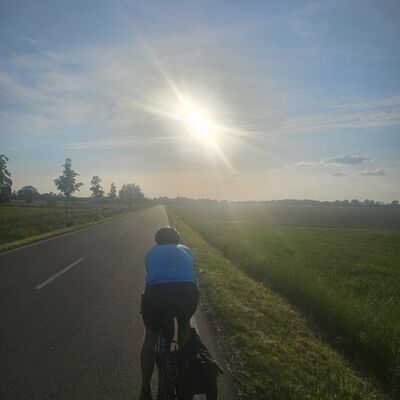 Ein Radfahrer f&auml;hrt auf einer Stra&szlig;e, im Hintergrund ist die Sonne zu sehen.