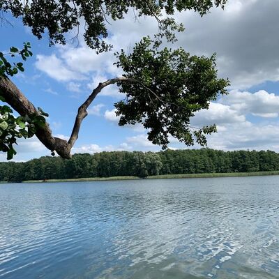Wei&szlig;er See Liebenberg